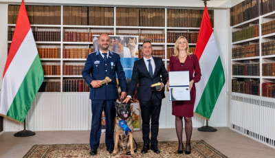 Kaposv&aacute;ri kutyus lett az &Eacute;v N&eacute;gyl&aacute;b&uacute; Hőse