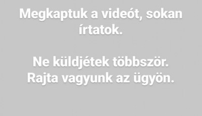Elfogytak a jelzőink - Egy mad&aacute;rral fajtalankodhatott az egyik n&eacute;pszerű magyar TikTok szt&aacute;r