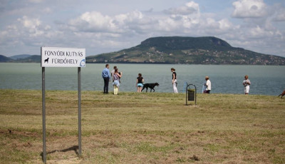 M&eacute;g mindig csak h&aacute;rom kuty&aacute;s strand van a Balatonon