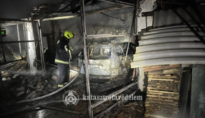 Tizen&ouml;t nyulat mentettek ki a somogyi tűzolt&oacute;k egy mell&eacute;k&eacute;p&uuml;letből