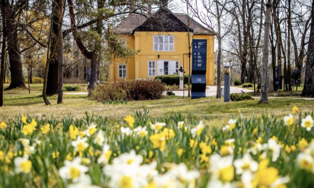 M&aacute;r ny&iacute;lnak a n&aacute;rciszok, mutatjuk mikor v&aacute;r benneteket a N&aacute;rcisz&uuml;nnep id&eacute;n
