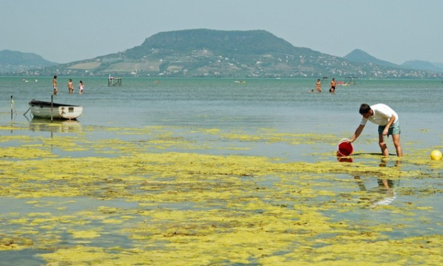 Naponta v&aacute;ltozhat az alg&aacute;sod&aacute;s a Balatonban