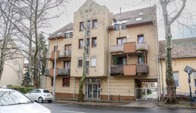 &Iacute;gy seg&iacute;ti a v&aacute;ros a fiatalokat Kaposv&aacute;ron: &uacute;jabb t&iacute;z fecskelak&aacute;s v&aacute;lt el&eacute;rhetőv&eacute;