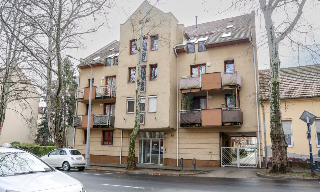 &Iacute;gy seg&iacute;ti a v&aacute;ros a fiatalokat Kaposv&aacute;ron: &uacute;jabb t&iacute;z fecskelak&aacute;s v&aacute;lt el&eacute;rhetőv&eacute;