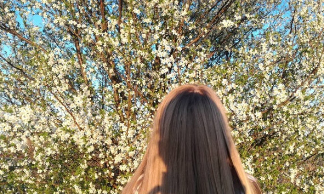 Vir&aacute;gba borult Kaposv&aacute;r  - Insta v&aacute;logat&aacute;s