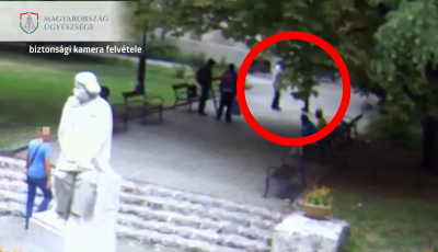 Pia &eacute;s cigi miatt t&ouml;rt ki a balh&eacute; a Rippl-R&oacute;nai parkban - VIDE&Oacute;
