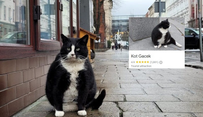 Ez a k&ouml;v&eacute;r kand&uacute;r lett egy lengyel v&aacute;ros legkedveltebb turistal&aacute;tv&aacute;nyoss&aacute;ga