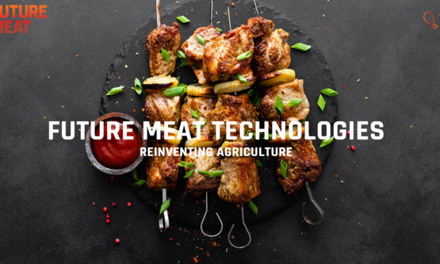 Faln&aacute;d? - &Iacute;me a vil&aacute;g első műh&uacute;sgy&aacute;ra