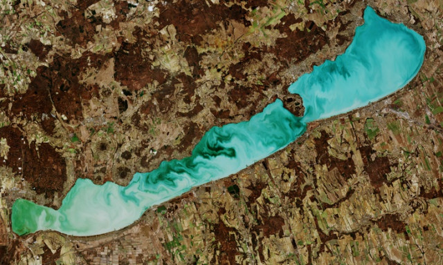 Ez nem egy festm&eacute;ny, hanem a Balaton az űrből