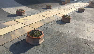 Visszat&eacute;rtek a Kossuth t&eacute;ri vir&aacute;gtart&oacute;k - Itt a tavasz?!