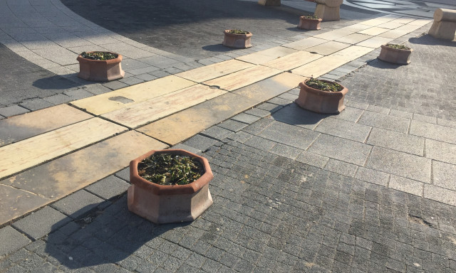 Visszat&eacute;rtek a Kossuth t&eacute;ri vir&aacute;gtart&oacute;k - Itt a tavasz?!