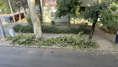 Megny&iacute;rva - L&eacute;pett a v&aacute;ros a Pete Lajos utca &eacute;letvesz&eacute;lyes f&aacute;inak &uuml;gy&eacute;ben
