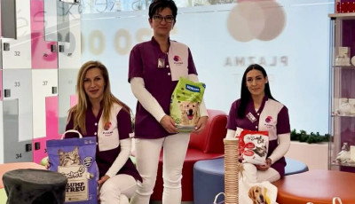 Gazd&aacute;tlan &aacute;llatoknak gyűjt janu&aacute;rban a kaposv&aacute;ri Plazma Pont