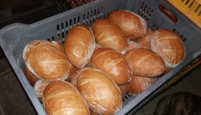 M&aacute;rciusban &uacute;jranyit a Pojtner P&eacute;ks&eacute;g