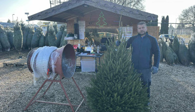 Megvan a Hummel csal&aacute;d kar&aacute;csonyf&aacute;ja is!