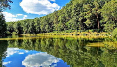 Meg&uacute;jul a Szentbal&aacute;zsi &eacute;s a Ropolyi pihenőhely, a T&ouml;r&ouml;cskei &eacute;s a T&oacute;kaji Parkerdő