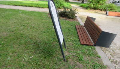 Elősz&ouml;r alkoholba folyotta b&aacute;nat&aacute;t, majd a marad&eacute;kot egy kaposv&aacute;ri parkban vezette le
