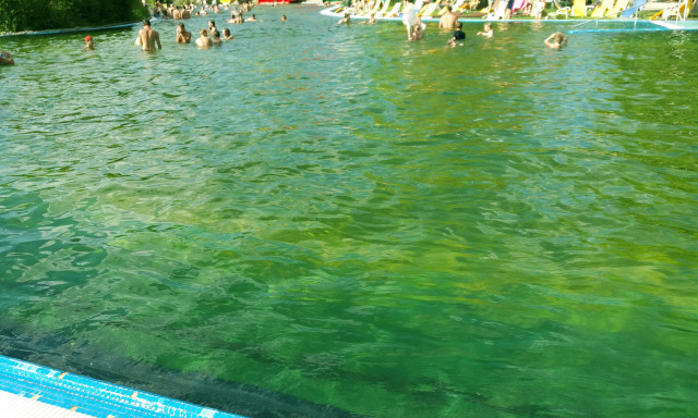 Bez&ouml;ld&uuml;lt a Vir&aacute;gf&uuml;rdő medenc&eacute;je