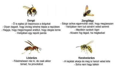 Szabad k&eacute;zzel ment m&eacute;heket egy texasi nő - VIDE&Oacute;