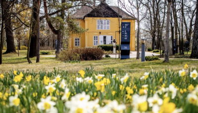 N&aacute;rcisz&uuml;ltet&eacute;sre v&aacute;rnak benneteket a Rippl-R&oacute;nai vill&aacute;ba