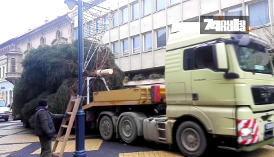 Elfoglalta méltó helyét a város karácsonyfája - VIDEÓ