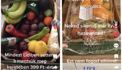 Egyre t&ouml;bben cs&iacute;pik el a Lidl 400 forintos z&ouml;lds&eacute;g &eacute;s gy&uuml;m&ouml;lcs kosarait