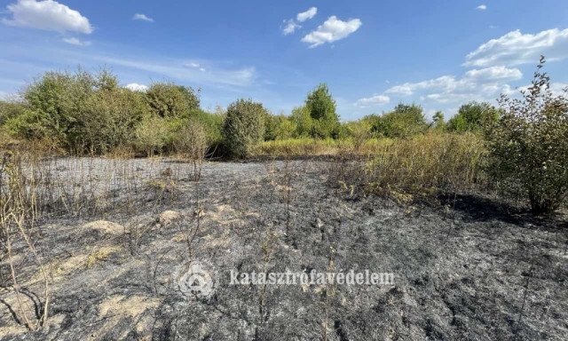 L&aacute;ngolt az aljn&ouml;v&eacute;nyzet Somogys&aacute;rdon, t&ouml;bb h&aacute;z is vesz&eacute;lybe ker&uuml;lt