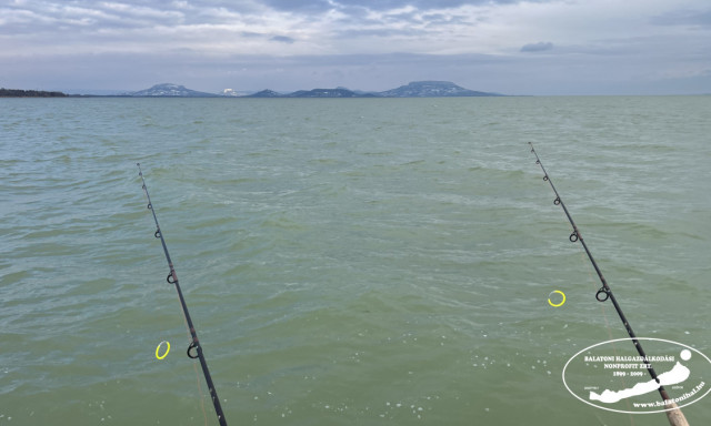 Kezdet&eacute;t vette az &aacute;ltal&aacute;nos ragadoz&oacute;hal-fog&aacute;si tilalom a Balatonon