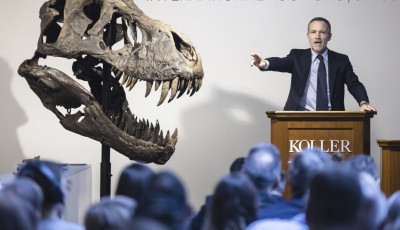 J&oacute;l mutat majd a nappaliban - Milli&aacute;rdok&eacute;rt v&aacute;s&aacute;roltak meg egy T-rex csontv&aacute;zat