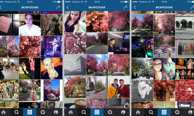 R&oacute;zsasz&iacute;nbe borult Kaposv&aacute;r az Instagramon