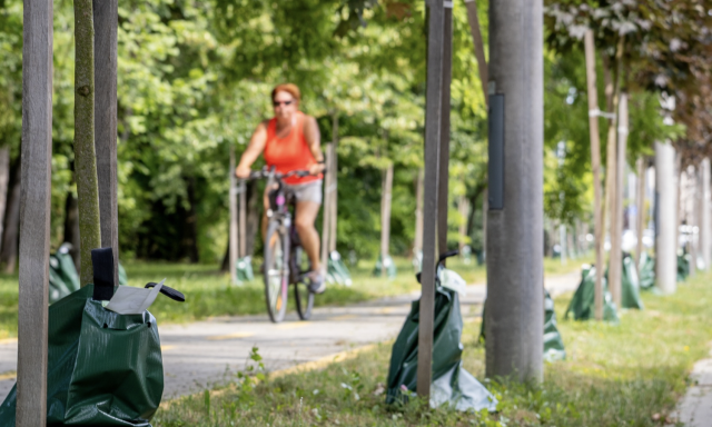 Felker&uuml;ltek az &ouml;nt&ouml;zőzs&aacute;kok a kaposv&aacute;ri f&aacute;kra
