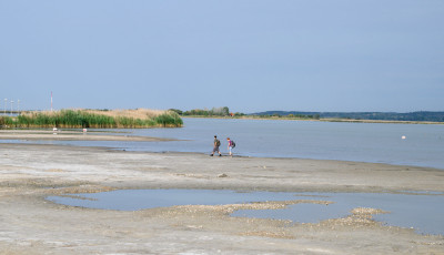 Sz&ouml;rnyű &aacute;llapotban van a Velencei-t&oacute;, de a Balaton sem &aacute;ll j&oacute;l