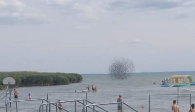 B&aacute;mulatos l&aacute;tv&aacute;ny Balatonfűzfőn - Sereg&eacute;lyek sz&aacute;zai t&aacute;ncoltak a Balaton felett - VIDE&Oacute;