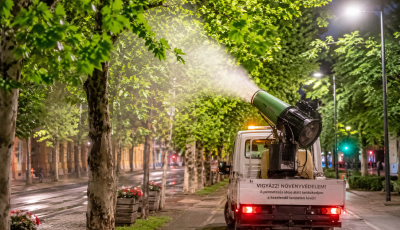 Lombpermetez&eacute;s lesz Kaposv&aacute;ron