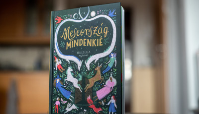 Elmarasztalt&aacute;k a Meseorsz&aacute;g mindenki&eacute; kiad&oacute;j&aacute;t