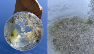 Balatoni med&uacute;zapara - Egyre t&ouml;bben jelentik, de valami eg&eacute;szen m&aacute;sr&oacute;l van sz&oacute;