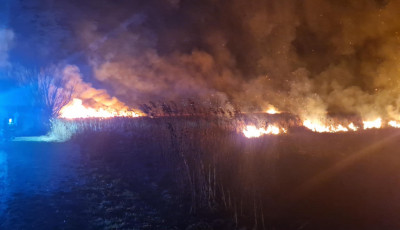 Akkora n&aacute;dastűz volt vas&aacute;rnap &eacute;jjel Fony&oacute;dn&aacute;l, hogy m&eacute;g az &eacute;szaki partr&oacute;l is l&aacute;tni lehetett