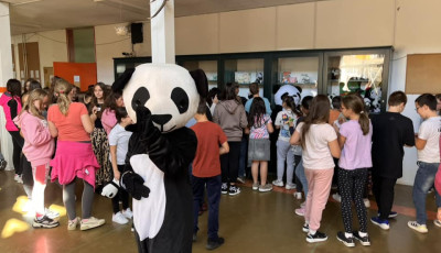 Bek&ouml;lt&ouml;ztek a pand&aacute;k a Toldiba