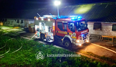 Kigyulladt egy pulykaist&aacute;ll&oacute; Lad k&ouml;zel&eacute;ben, t&ouml;bbezer pulyka &eacute;gett hal&aacute;lra