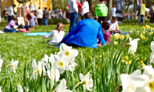 &Uacute;j időpontban rendezik a kaposv&aacute;ri N&aacute;rcisz&uuml;nnepet