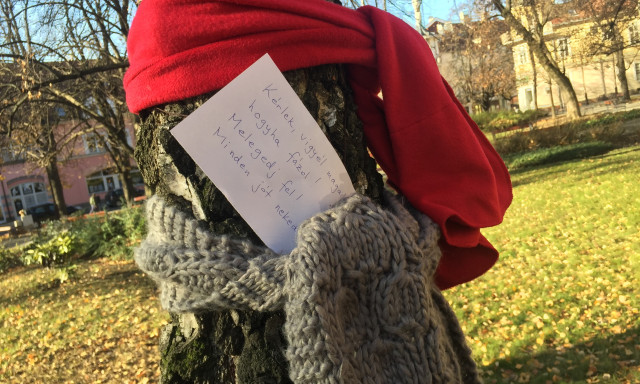 Kaposv&aacute;ron is megjelentek a f&aacute;kon a s&aacute;lak!