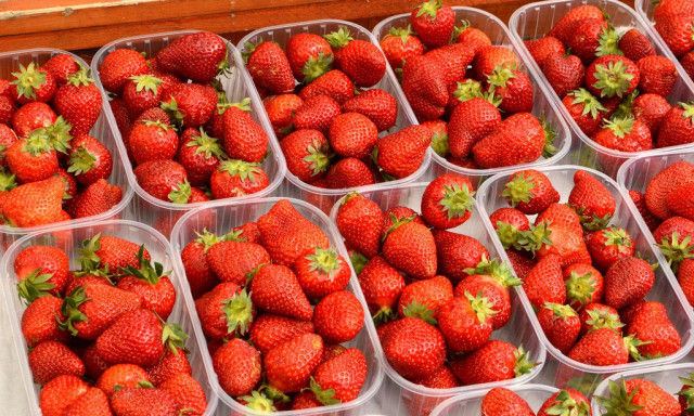 Valentin-napra m&aacute;r nem kell a mirelitek k&ouml;z&uuml;l beszerezned az epret! - Megjelentek a kaposv&aacute;ri boltok polcain!