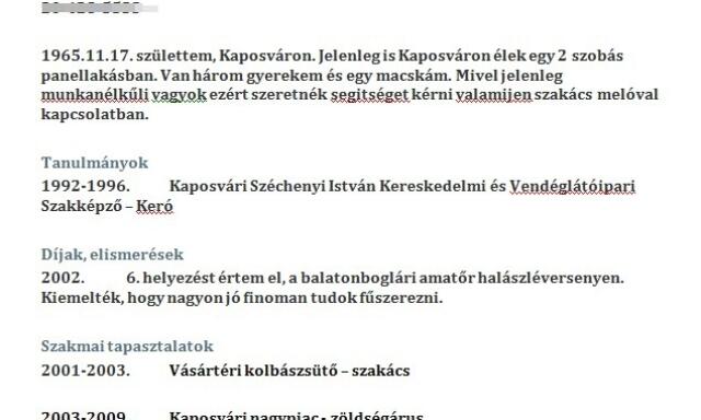 A kaposv&aacute;ri munkakeresők &ouml;nbizalm&aacute;val semmi baj - vicces  &ouml;n&eacute;letrajzok k&ouml;vetkeznek