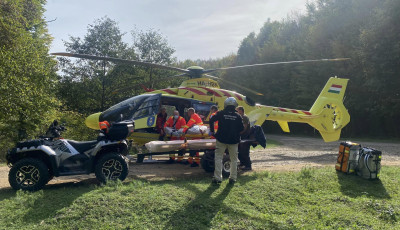 L&oacute;darazsak t&aacute;madtak meg a M&aacute;tr&aacute;ban k&eacute;t t&uacute;r&aacute;z&oacute;t h&eacute;tv&eacute;g&eacute;n