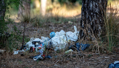 Egy &uacute;j t&ouml;rv&eacute;ny szerint 50 milli&oacute;s b&iacute;rs&aacute;g is j&aacute;rhat az illeg&aacute;lisan lerakott szem&eacute;t&eacute;rt