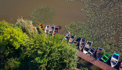Sz&iacute;npomp&aacute;s lombok, indi&aacute;n ny&aacute;r &eacute;s a v&iacute;zpart nyugalma &ndash; őszi k&eacute;pgal&eacute;ria a Desed&aacute;r&oacute;l