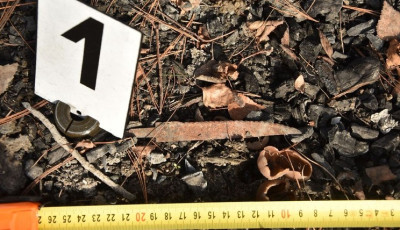 Elk&eacute;pesztő brutalit&aacute;s Zalaegerszegen: hal&aacute;lra vert&eacute;k, felgy&uacute;jtott&aacute;k &eacute;s feldarabolt&aacute;k a hajl&eacute;ktalan nőt
