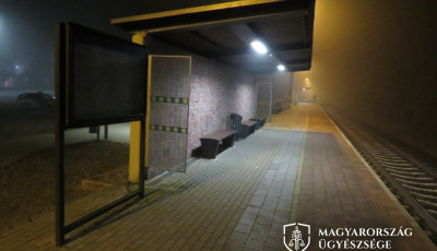 A kaposv&aacute;ri buszp&aacute;lyaudvaron kezdőd&ouml;tt a tini-terror, majd a vonaton folytat&oacute;dott