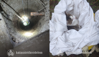 Tizenk&eacute;t m&eacute;ter m&eacute;ly k&uacute;tba esett egy macska S&aacute;gv&aacute;ron