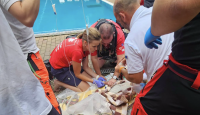 &Uacute;jra kellett &eacute;leszteni egy 3 &eacute;ves kisgyereket, aki medenc&eacute;be esett egy balatoni kempingben